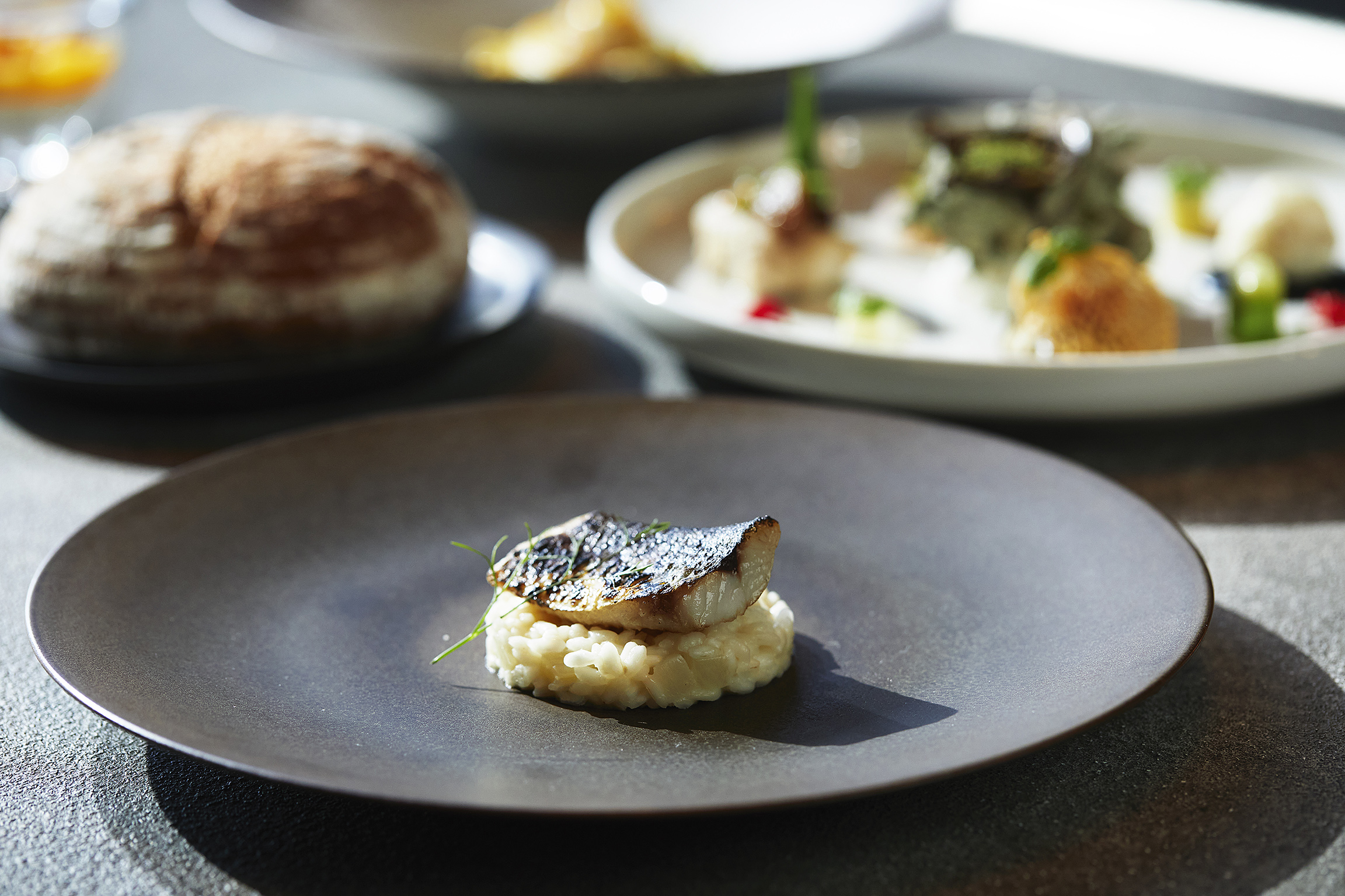 Lux Blo ラグブロ